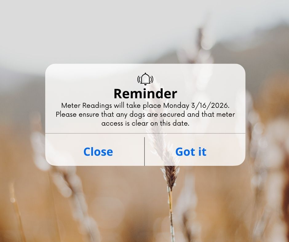 03.2026 Meter Readings